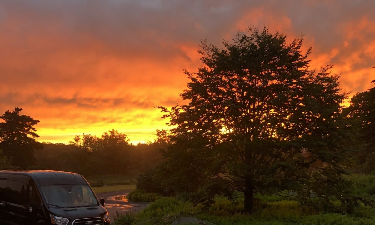 Greenvans transit van parked in driveway by a tree at sunset