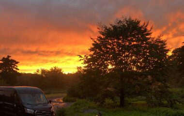 Greenvans transit van parked in driveway by a tree at sunset