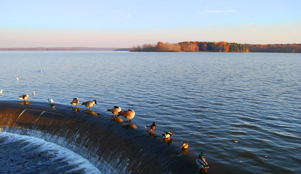 Great fishing for both PA and OH at Pymatuning Lake, a 14,600-acre recreation reservoir