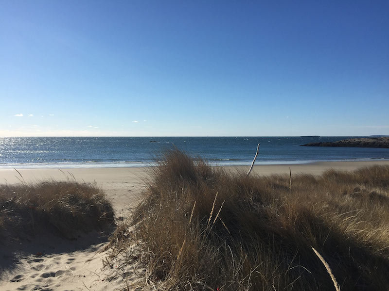 A relaxing ocean view at Hermit Island Campground