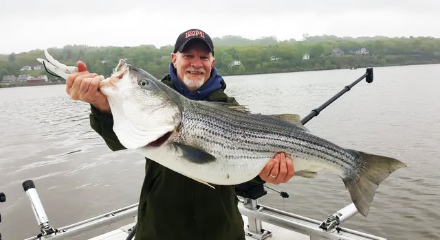 A fisherman proudly displays his giant catch