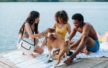 Dog-friendly vacation ideas | Greenvans